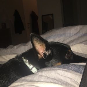 Meet your Posher, Tina